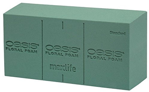 Floral Foam Bricks 23x11x8cm - Wet or Dry, Florist Grade - For Stunning Fresh & Artificial Flower Arrangements (Wet Foam (Green), 10)