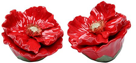 StealStreet ss-cg-20732 2,5 Rojo Pintado Amapolas Flores de pétalos salero y pimentero Set