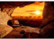 Runa Art Fototapete Afrika Elefanten Modern Vlies Wohnzimmer Schlafzimmer - Made in Germany - 308 x 220 cm Orange 9343010c