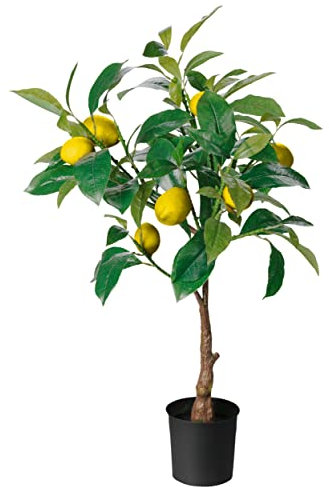 AMARE Kunstpflanze Zitronenbaum im Topf 70 cm
