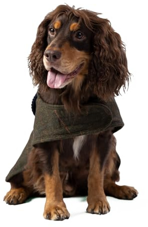 HUGO & HUDSON x Hackett Tweed Hundejacke Mantel Cordkragen, dunkelgrün kariert Fischgrätmuster M50