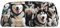 GBCDEDSL Lovely Husky Federmäppchen, komplett bedruckt, PVC, Kreuzmuster, Leder, Reißverschluss, dreidimensional, Schüler-Federmäppchen, Tasche, silber, Einheitsgröße, Reise-Kleidertasche