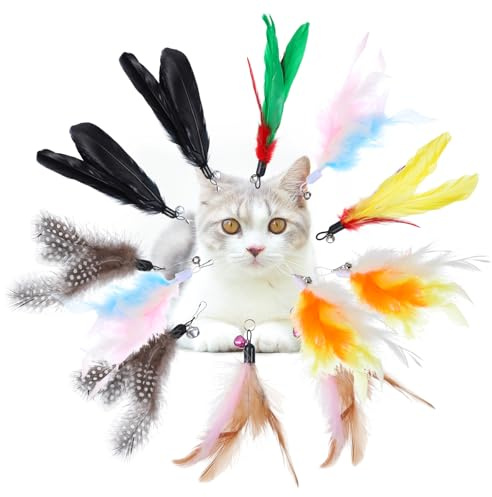 12 Stück Katzenspielzeug Feder Katzen Federspielzeug Ersatzfedern mit Glocke Katzen Angel Spielangel Katzenspielzeug Interaktives Spielzeugzubehör Teaser Spielzeug Zubehör für Indoor Katzens Spiel