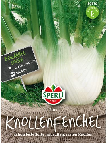 Knollenfenchel ´Fino´