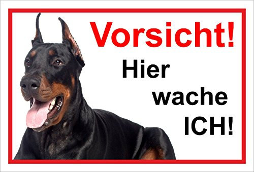 Melis-Folienwerkstatt Schild Warnschild Vorsicht freilaufender Hund – Dobermann Achtung – Hier wache ich – 20x30cm – S22E