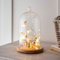 Lights4fun Lot Cloche en Verre et Guirlande Lumineuse Lapins et Carottes