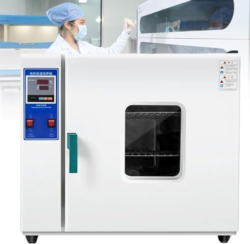 Oiyekntd Labor erzwungene Luftkonvektion trocknen Ofen, Verzinkter/rostfreier Stahl konstanter Temperaturtrocknungsofen, industrielle Digitale Labor Thermostatische Elektrokaste,Galvanized