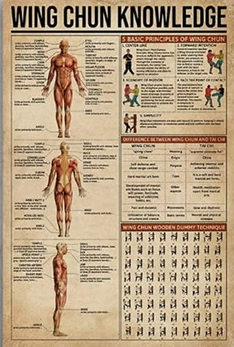 Hund Metall Wing Chun Wissen Blechschild Poster Blechschild Metall 8x12inch
