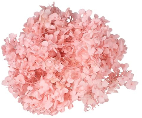 GOOHOCHY 1 Packung 20 G Konservierte Blumen Echte Hortensienblütenblätter Getrocknete Blütenblätter Für DIY Dekoration Und Nail Art Zubehör