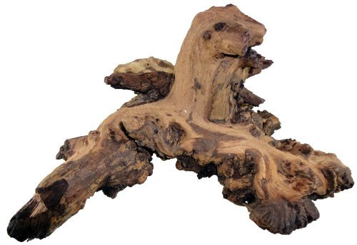 aquariumpflanzen.net Wurzel aus Mopaniholz ca. 25-40 cm, Dekoration für Terrarium