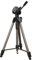 Hama | Trípode para Cámaras de Foto o Video (Star 64, Ligero, Estable, con Bolsa para su Transporte) Dorado y Negro
