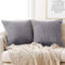 Deconovo Kissenbezug 50x50 Dekokissen Kordsamt Kissenhülle Dekorative Sofakissen Zierkissenhülle Super Weich Kissenbezüge Decor Kissenhüllen für Sofa Couch Wohnzimmer, 50x50 cm, Hellgrau, 2er Set