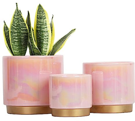 Gepege Macetas Rosas de Interior para Plantas, Maceta de cerámica con Agujero de Drenaje, 15.2 cm+5.0 Pulgadas + 4.0 Pulgadas