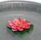 itsisa Seerose für Schwimmschale pink D:10 cm, als Teich Deko, Deko für Vogeltränke etc. - Schwimmblüte, Schwimmkerzen