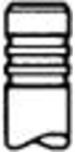 TRW 111222 Inlet Valve