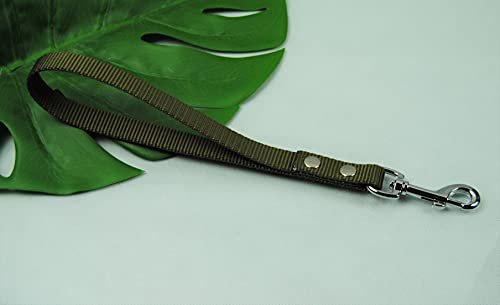 Kurzführer Leine 35cm MIT Schlaufe Oliv 20mm Silber Karabiner