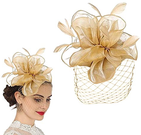 Gcroet Frauen Mesh Flower Fascinator Hut Net Schleier Hochzeitsfeier, Fascinator Hut Retro Blume Bänder Mesh Schleier Haarclip Tee Party Stirnband Zubehör für Tee Party, Hochzeit, Kostümparty