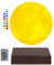 DIDWI Schwebende Mondlampe, rotierende 3D-Druck-Mondlampen, magnetisch schwebende LED-Mondlicht-Nachtlichter, einzigartige Geschenke für Thanksgiving, Weihnachten, Raum-Büro-Dekor (16 Farben)