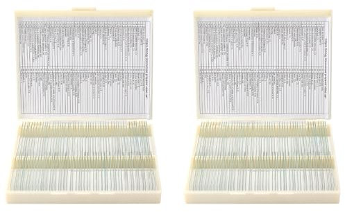Mikroskop-Objektträger, 50PCS Vorbereitete Mikroskop-Objektträger-Set, Mikroskop-Objektträger Vorbereitete Laborproben Biologische Probe Mit Insekten Pflanzen Tiere Bakterien Bildung Wissenschaft