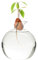 Avocado -Vase, klare hohe Borosilikat -Glas -Avocado -Starter -Vase, Wiederverwendbare runde Hydroponikvase, universelle Avocado -Wachstumsvase für Pflanzen im Innenbereich im Freien 4,7 x 3,9, Avoca