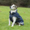 Bucas Freedom Hundedecke 50, navy