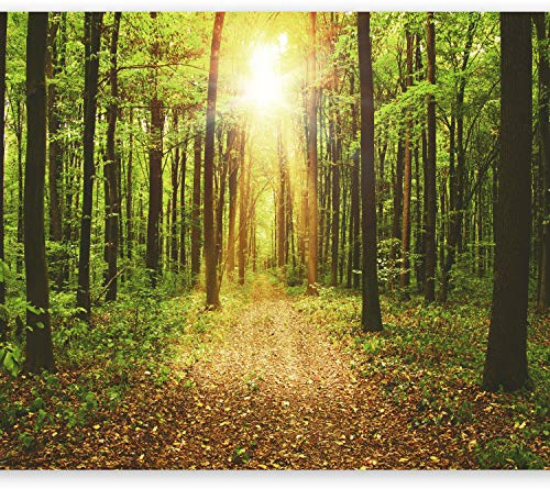 Wallpaper, Wall Mural 350x256 cm Non-Woven Premium Art Print Fleece Wall | Mural Decoration Poster Picture Design Modern nature landscape forest