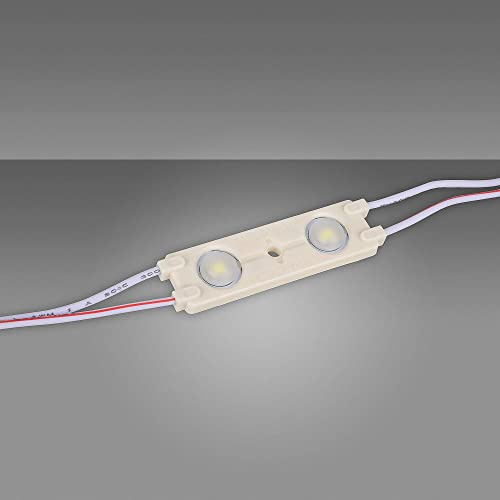 Mextronic LED-Module-Set : 20x 2er LED Power Module HL02 0.72W 6500K 12V IP65