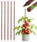 KADAX Tuteur en bois imprégné, tuteur pour plantes grimpantes, résistant aux intempéries, tige de fleurs, treillis, piquets en bois, piquets (5, 28 mm x 120 cm)