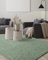 the carpet Foxy Shaggy Teppich - Hochflor Teppich Wohnzimmer & Schlafzimmer - Waschbar & rutschfest - Grün 200 x 290 cm