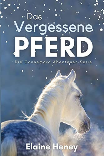 Das vergessene Pferd : Die Connemara Abenteuer-Serie (Die Connemara-Pony-Abenteuerserie 1)