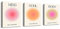 Enthusiasm 3 Panels Colourful Gradient Aura Angel Numbers Poster Sets for Room Aesthetic Colourful Aura Gradient Canvas Wall Art for Bedroom Office (Aura, Unframed)