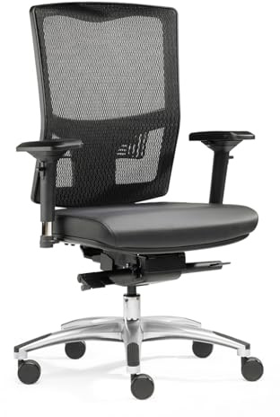 SITWELL STEIFENSAND Liberty | Premium-Bürostuhl für Wirbelsäulengesundheit & Aktives Sitzen – Made in Germany | inkl. Armlehnen, Komfort-Sitz und Synchron-Mechanik bis 130 kg (Teppichbodenrolle)