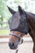 Harry's Horse Fliegenmaske inkl. Ohren und mit Syntetic Fell, Größe:M
