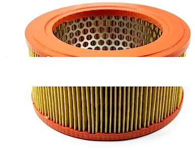 Filtro Aria Compatibile con Bianchina Epoca