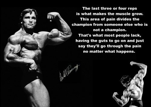 Inspirierendes und motivierendes Poster (mit Schriftzug in englischer Sprache) – Arnold Schwarzeneggers „6 Regeln des Lebens“