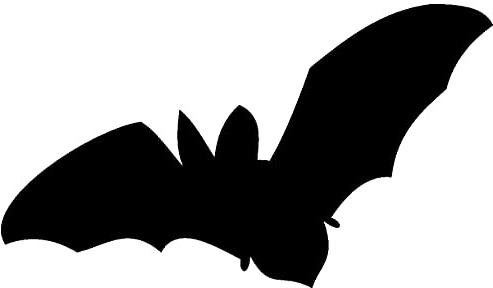 Samunshi® Wandtattoo Fledermaus Motiv A 50 x 29cm schwarz