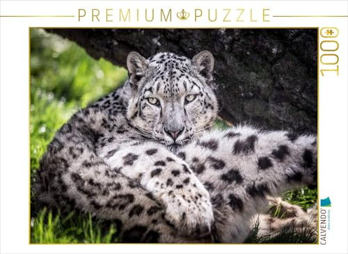 CALVENDO Puzzle EIN Schneeleopard | 1000 Teile Lege-Größe 64 x 48 cm Foto-Puzzle für glückliche Stunden