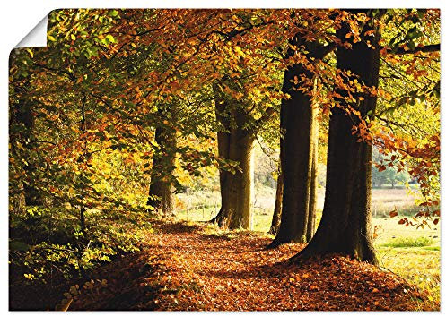ARTLAND Wanddeko Poster & Kunstdrucke Wandposter Wald Landschaft Natur Bäume Herbst Blätter Landhaus T0WE