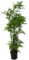 Leaf Artificial Realistic Natural Look Pot, Moss Fern Large, 150cm