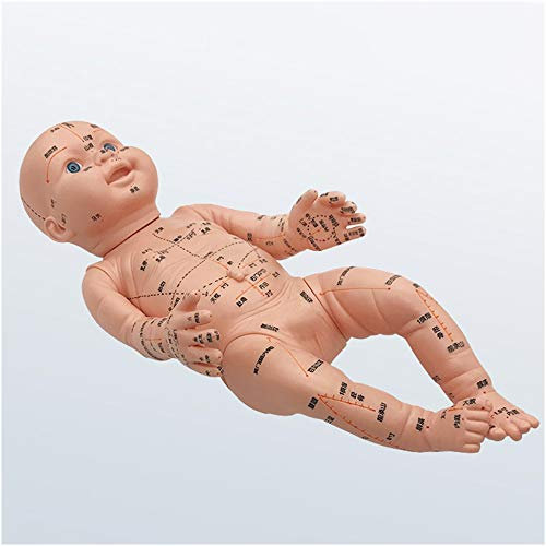 FHUILI Pädiatrische Massage-Modell - Acupoint-Pädiatrische Massage-Simulationsmodell - Akupunktur-Puppen-Mannequin-Modell - Chinesische Medizin Akupoint-Druck-Meridianer Massage-Lehrmodell,A