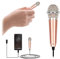 Vesaneae Mini Microfono per Karaoke, Portatile in Metallo per Telefono e Computer, Cablato Vocale (Oro Rosa)