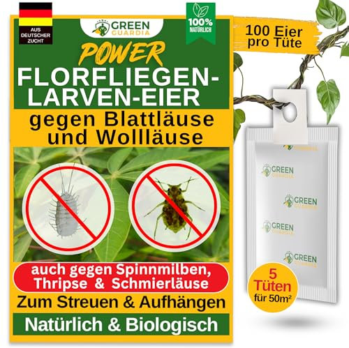 GREEN GUARDIA Power Florfliegenlarven-Eier gegen Blattläuse und Wollläuse – 5x Tüten - Biologisches Mittel zur effektiven Blattläuse und Wollläuse Bekämpfung für Zimmer- und Zierpflanzen uvm.