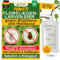 GREEN GUARDIA Power Florfliegenlarven-Eier gegen Blattläuse und Wollläuse – 5x Tüten - Biologisches Mittel zur effektiven Blattläuse und Wollläuse Bekämpfung für Zimmer- und Zierpflanzen uvm.