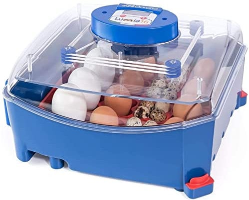 Borotto Lumia 16 | Incubatrice per Uova Automatica per 16 Uova o 64 Piccole con Girauova Automatico e Controllo della Temperatura | Made in Italy