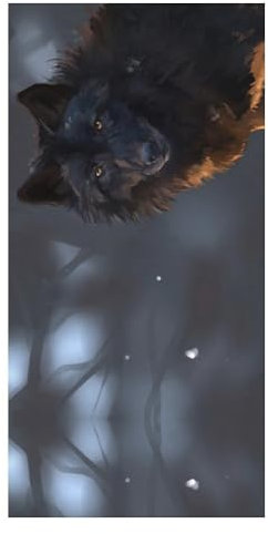 Cmagnifico Strandtuch, Fantasy-Wolf, Badetuch, Pool-Handtuch, ideal für Fitnessstudio, Schwimmen, 80 x 160 cm