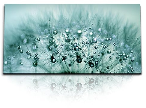Paul Sinus Kunstdruck Bilder 120x60cm Makrofotografie Pusteblume Tropfen Regentropfen Türkis