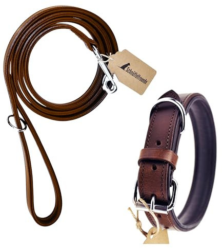 Schnüffelfreunde Hunde Halsband und Leine Set - aus Leder - handgenäht - Halsband Größe L/Leine 230cm (Braun)