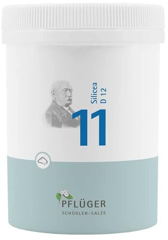 BIOCHEMIE Pflüger 11 Silicea D 12 Pulver 250 g