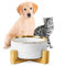 Shoppeo Comedero Perro Elevado Ceramica | Comedero Gato | Bebedero Perro | Comedero Gato Elevado | Comederos para Perros | Cuenco Perro | Platos para Gatos | Accesorios para Gatos | Perros Accesorios