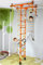 NiroSport Sprossenwand Kinderzimmer M1 Orange aufbau ohne bohrungen Kletterwand Turnwand Klettergerüst Kinder Indoor Klimmzugstange